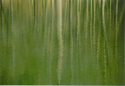 Předjarní odraz na rybníku U lesa 2002